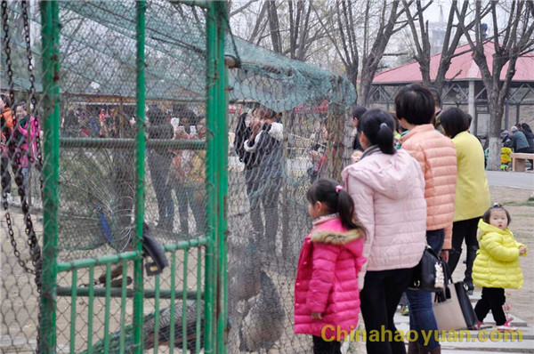 110834268808 J9·九游集团(国际)官方网站-真人游戏第一品牌