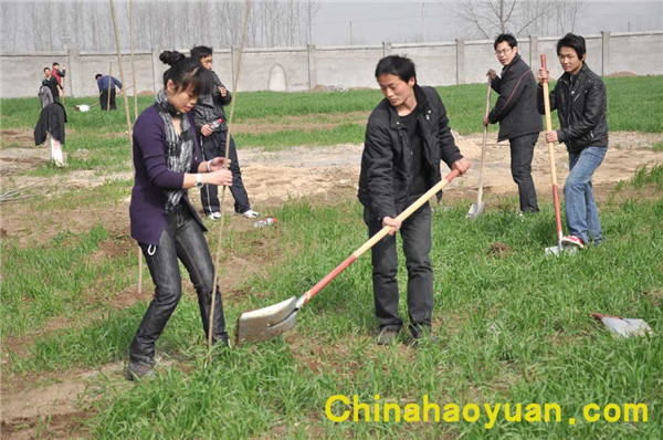 J9·九游集团(国际)官方网站-真人游戏第一品牌